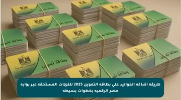 طريقة إضافة المواليد على بطاقة التموين 2025 للفئات المستحقة عبر بوابة مصر الرقمية بخطوات بسيطة